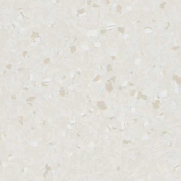 Timid White